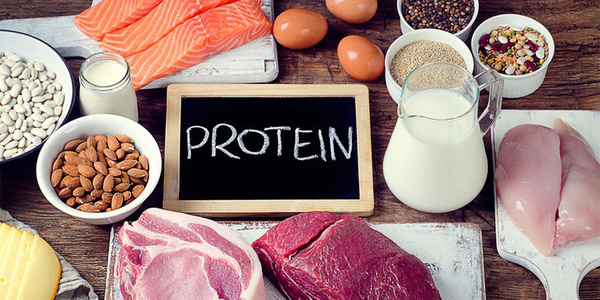 Protein có trong thực phẩm nào?